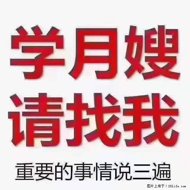为什么要学习月嫂,育婴师? - 新手上路 - 贺州生活社区 - 贺州28生活网 hezhou.28life.com