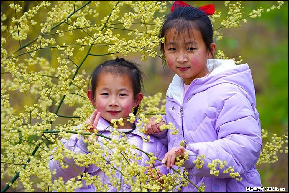 【春天,广西桂林灌阳县向您发出邀请!】米珠山前有片山苍子花在飘香 - 游山玩水 - 贺州生活社区 - 贺州28生活网 hezhou.28life.com