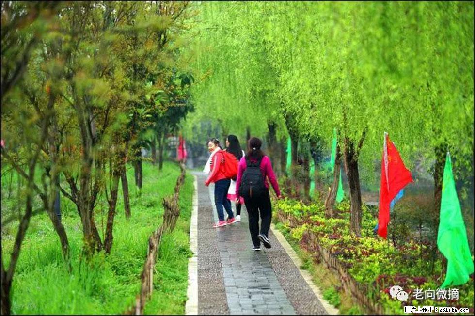 【春天，广西桂林灌阳县向您发出邀请！】江口老街又逢春 - 游山玩水 - 贺州生活社区 - 贺州28生活网 hezhou.28life.com