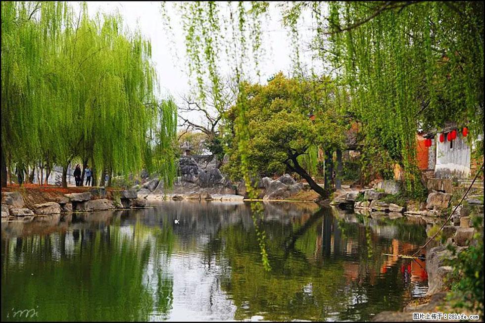 【春天，广西桂林灌阳县向您发出邀请！】江口老街又逢春 - 游山玩水 - 贺州生活社区 - 贺州28生活网 hezhou.28life.com