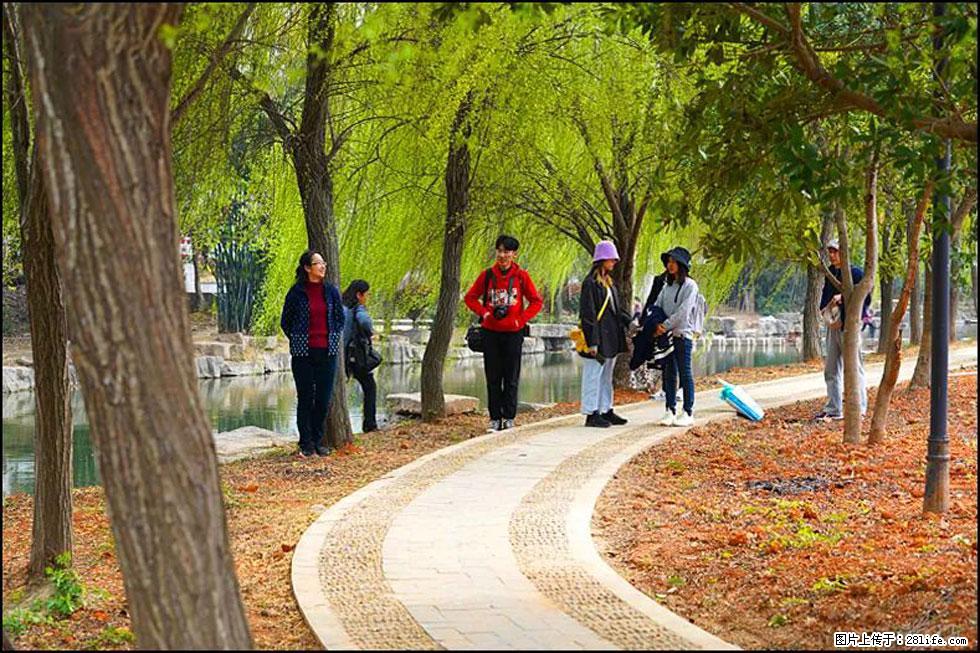 【春天，广西桂林灌阳县向您发出邀请！】江口老街又逢春 - 游山玩水 - 贺州生活社区 - 贺州28生活网 hezhou.28life.com