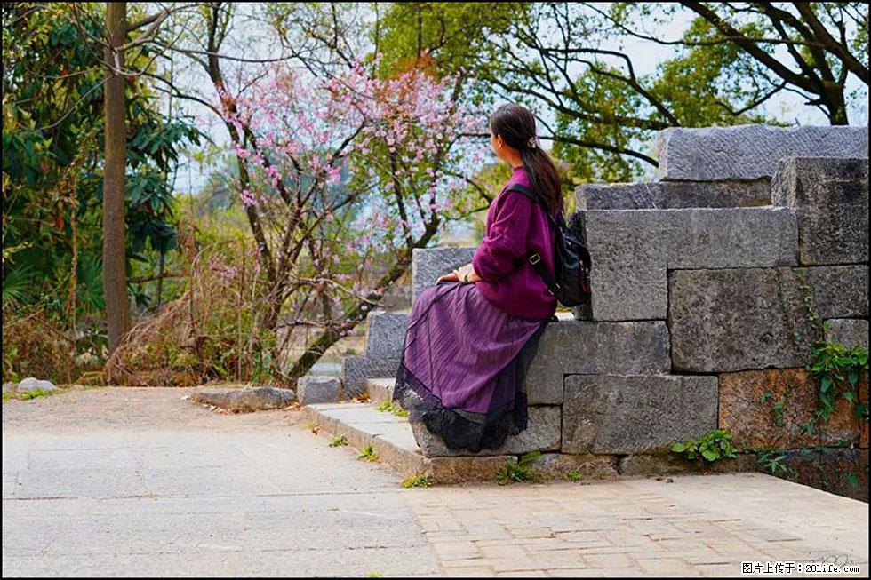 【春天，广西桂林灌阳县向您发出邀请！】江口老街又逢春 - 游山玩水 - 贺州生活社区 - 贺州28生活网 hezhou.28life.com