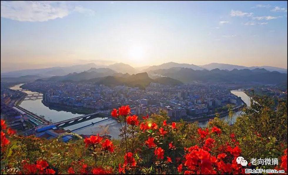 【春天，广西桂林灌阳县向您发出邀请！】登麒麟山，相约映山红 - 游山玩水 - 贺州生活社区 - 贺州28生活网 hezhou.28life.com