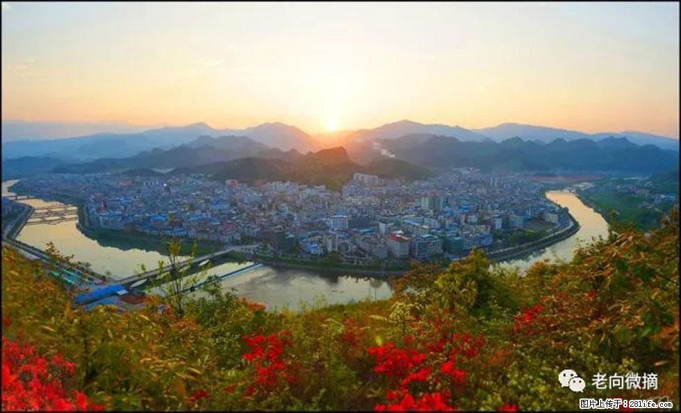 【春天，广西桂林灌阳县向您发出邀请！】登麒麟山，相约映山红 - 游山玩水 - 贺州生活社区 - 贺州28生活网 hezhou.28life.com