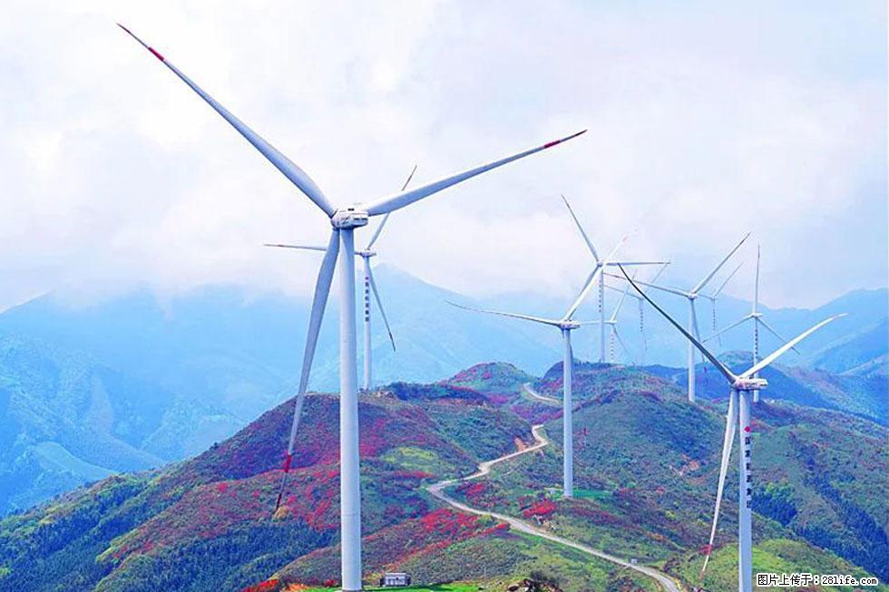 【春天，广西桂林灌阳县向您发出邀请！】春木界上映山红 - 游山玩水 - 贺州生活社区 - 贺州28生活网 hezhou.28life.com