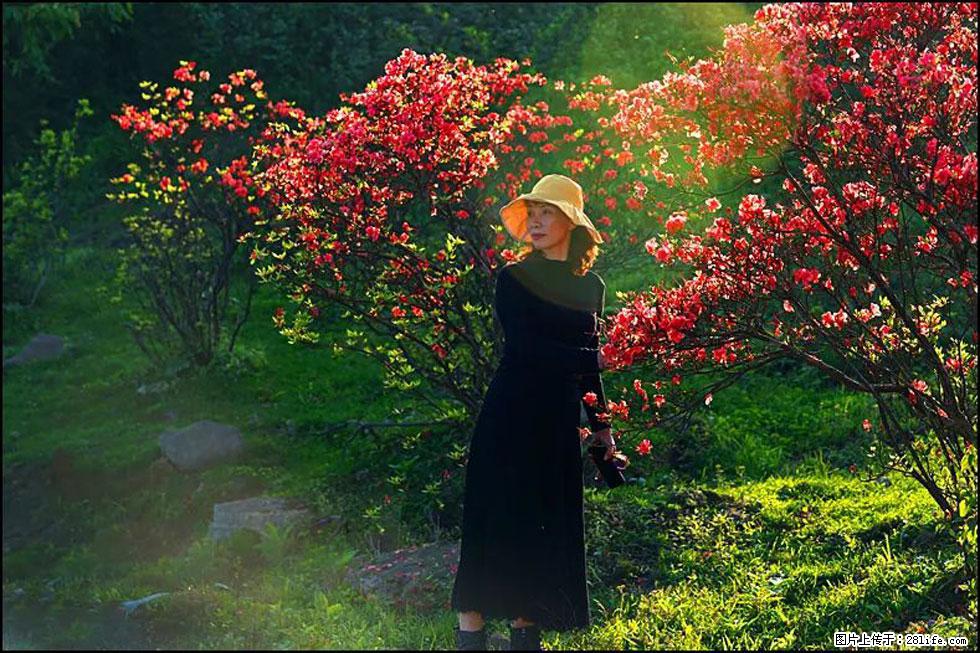 【春天，广西桂林灌阳县向您发出邀请！】春木界上映山红 - 游山玩水 - 贺州生活社区 - 贺州28生活网 hezhou.28life.com