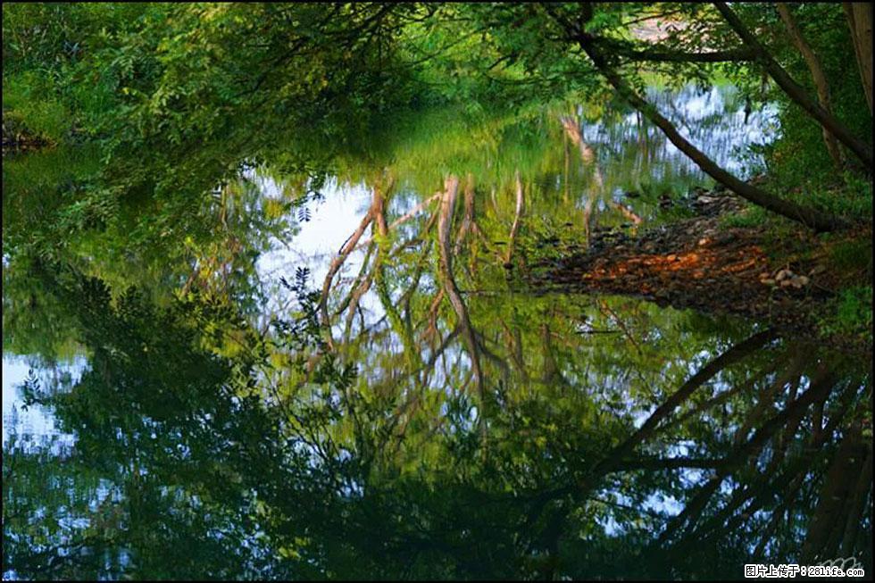 【春天,广西桂林灌阳县向您发出邀请!】熊家寨湿地公园 - 游山玩水 - 贺州生活社区 - 贺州28生活网 hezhou.28life.com