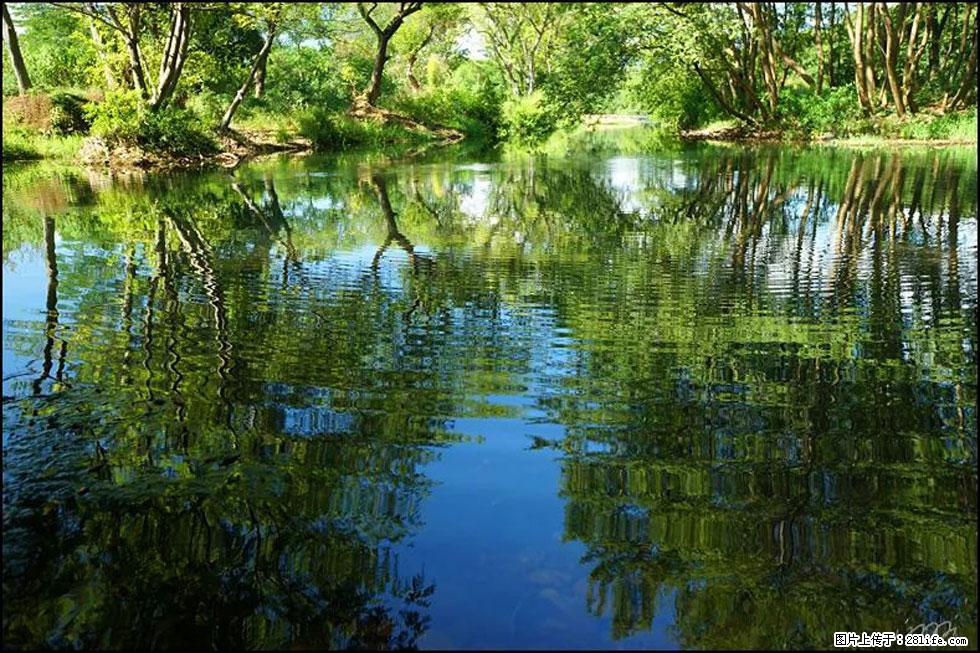 【春天,广西桂林灌阳县向您发出邀请!】熊家寨湿地公园 - 游山玩水 - 贺州生活社区 - 贺州28生活网 hezhou.28life.com