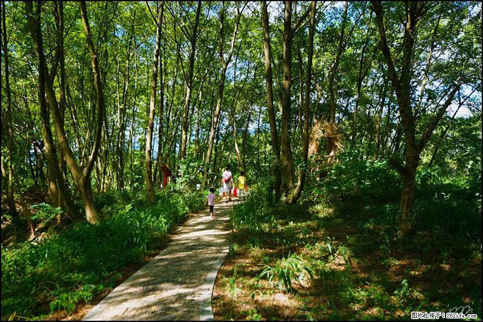 【春天,广西桂林灌阳县向您发出邀请!】熊家寨湿地公园 - 游山玩水 - 贺州生活社区 - 贺州28生活网 hezhou.28life.com