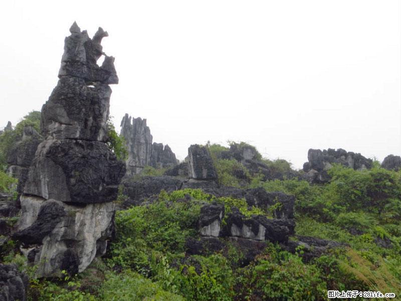 桂林旅游名城景点：灌阳文市石林 - 游山玩水 - 贺州生活社区 - 贺州28生活网 hezhou.28life.com