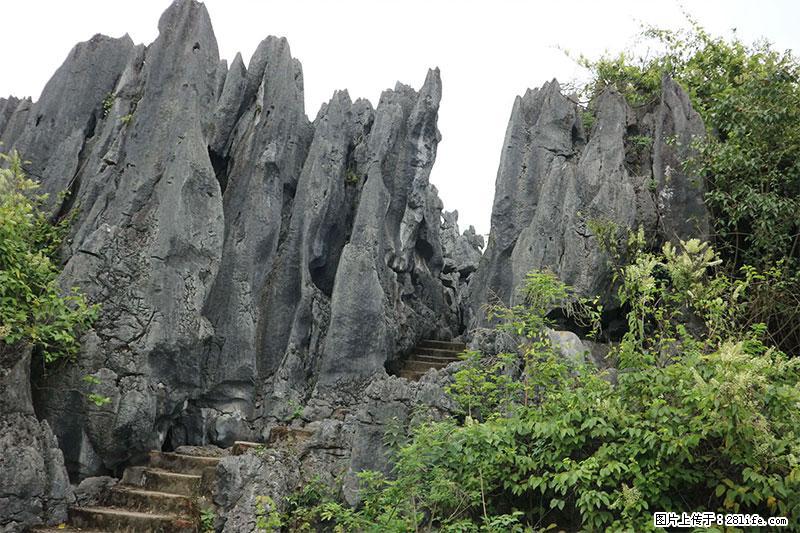 桂林旅游名城景点：灌阳文市石林 - 游山玩水 - 贺州生活社区 - 贺州28生活网 hezhou.28life.com