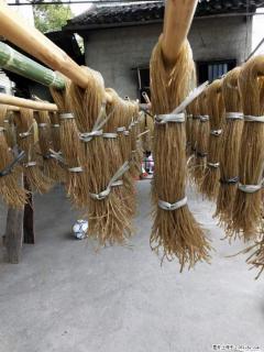 【灌阳正宗红薯粉】美女家里自己做的,干净卫生,假一赔十,价格合理,抢购电话:13737312895 - 贺州28生活网 hezhou.28life.com