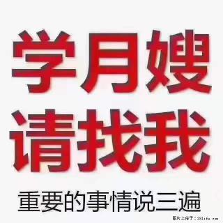 为什么要学习月嫂,育婴师? - 贺州28生活网 hezhou.28life.com