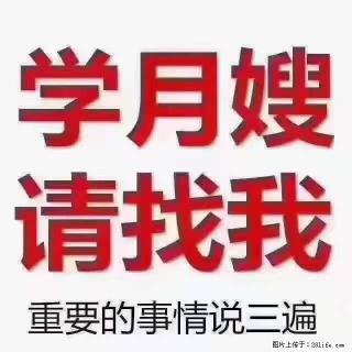 为什么要学习月嫂，育婴师？ - 贺州28生活网 hezhou.28life.com