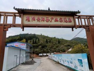 【灌阳县油茶产业示范区】一个有着充实的精神生活的人,对待身外之物自会有一种淡泊的态度 - 贺州28生活网 hezhou.28life.com