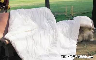被子有异味?只要这样做,比晒太阳还强100倍! - 家居生活 - 贺州生活社区 - 贺州28生活网 hezhou.28life.com