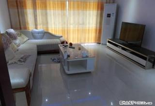 超市楼上 电梯房 闹中取静 楼层高 采光好 家电齐全 - 贺州28生活网 hezhou.28life.com