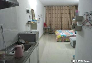 真实房源！远东温馨精装一房急租！！！有意赶紧联系，可拎包入住 - 贺州28生活网 hezhou.28life.com