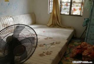 八步贺纸生活区两房出租 - 贺州28生活网 hezhou.28life.com