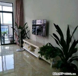 亮靓房出租啦,文源华都小区! - 贺州28生活网 hezhou.28life.com