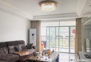 选择从此不再孤单,精装安居 - 贺州28生活网 hezhou.28life.com