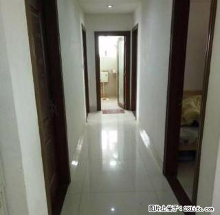 整租市农业局靓靓装修4房出租家具家电齐全 - 贺州28生活网 hezhou.28life.com