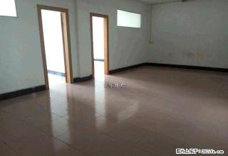 育才路 精品房3房1厅 出租 地段繁华 闹中取静 - 贺州28生活网 hezhou.28life.com
