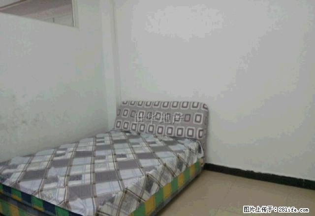 育才路位于贺州学院旁 家电家居全新 可拎包入住 价格实惠 - 房屋出租 - 房屋租售 - 贺州分类信息 - 贺州28生活网 hezhou.28life.com
