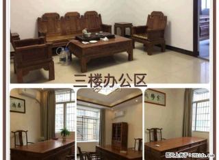 急租 贺州教育局附近 太原街 整栋出租 地段好 精美装修 - 贺州28生活网 hezhou.28life.com