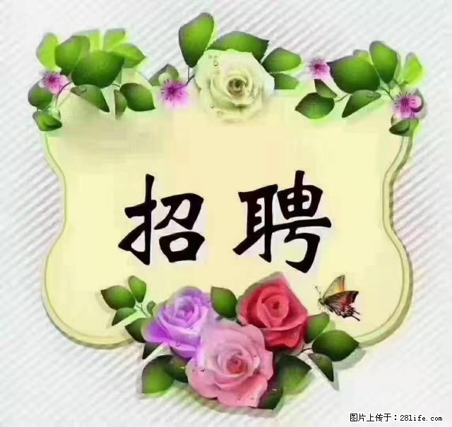 【招聘】住家育儿嫂，上户日期：4月4日，工作地址：上海 黄浦区 - 职场交流 - 贺州生活社区 - 贺州28生活网 hezhou.28life.com