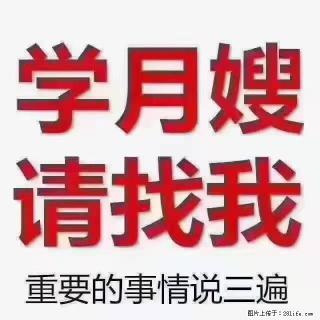 【招聘】月嫂,上海徐汇区 - 贺州28生活网 hezhou.28life.com