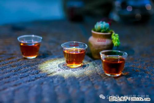 时间果百年古树2025年春红茶 - 购物交流 - 贺州生活社区 - 贺州28生活网 hezhou.28life.com