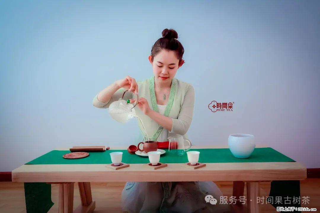 时间果百年古树龙珠普洱生茶 - 购物交流 - 贺州生活社区 - 贺州28生活网 hezhou.28life.com