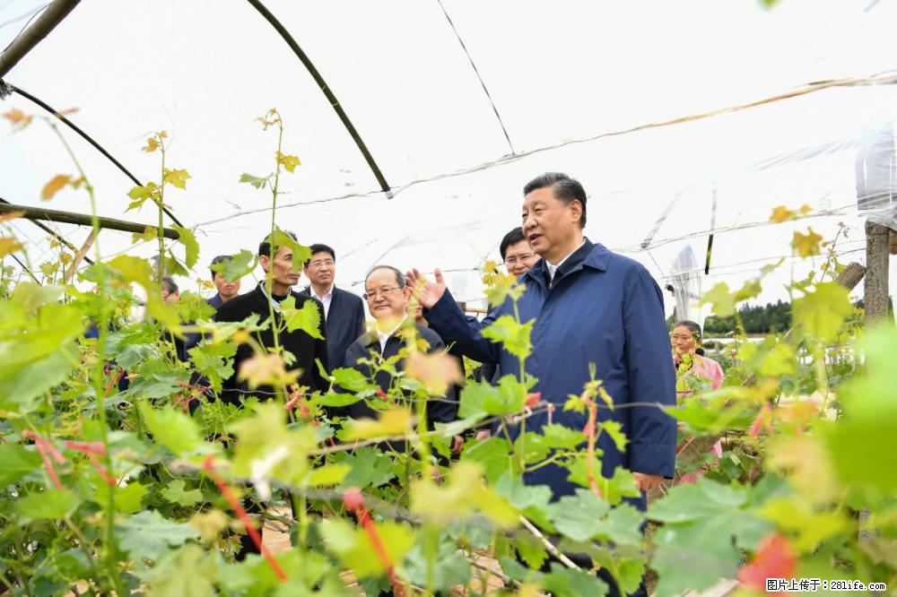 习近平赴广西考察调研 - 贺州生活资讯 - 贺州28生活网 hezhou.28life.com