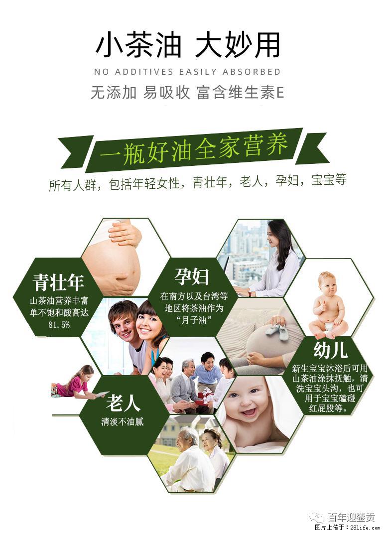 世界没有真相,只有认知,最好的食用油是中国的山茶油! - 贺州生活资讯 - 贺州28生活网 hezhou.28life.com