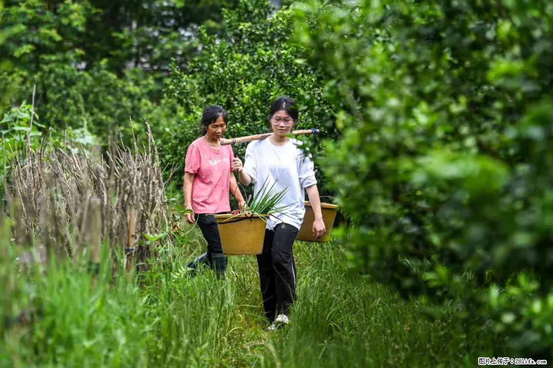 全网追的“扁担女孩”,找了一份暑假工,时薪12元 - 贺州生活资讯 - 贺州28生活网 hezhou.28life.com
