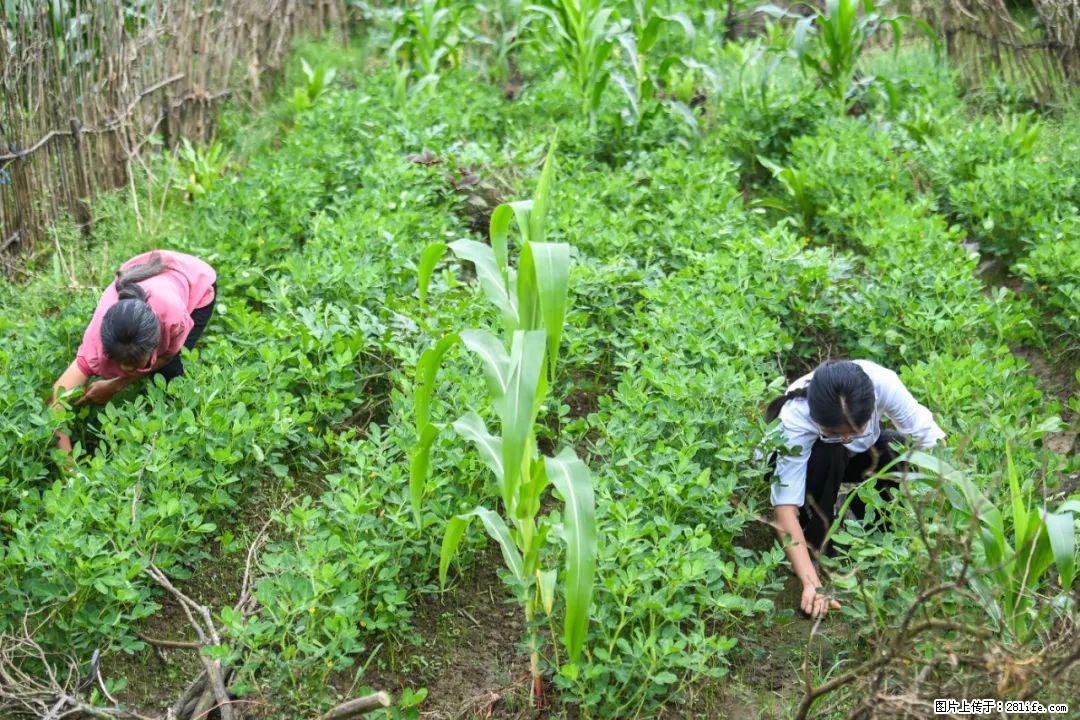 全网追的“扁担女孩”,找了一份暑假工,时薪12元 - 贺州生活资讯 - 贺州28生活网 hezhou.28life.com