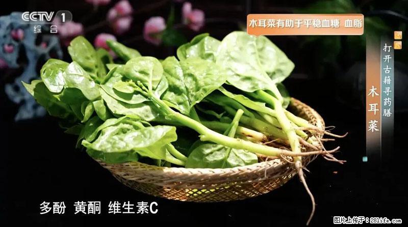 比牛奶补钙还厉害!凉血解毒、稳血糖...这菜冬天必吃,很多人却当草 - 贺州生活资讯 - 贺州28生活网 hezhou.28life.com