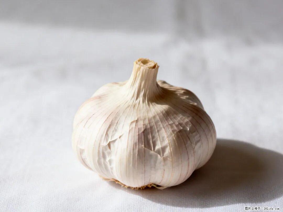 关于大蒜，除了“天然抗生素”，这4个谣言更该警惕! - 贺州生活资讯 - 贺州28生活网 hezhou.28life.com