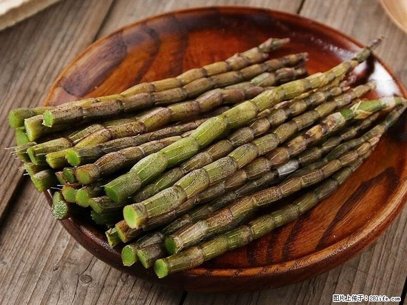 铁皮石斛的作用与功能主治 - 贺州生活资讯 - 贺州28生活网 hezhou.28life.com