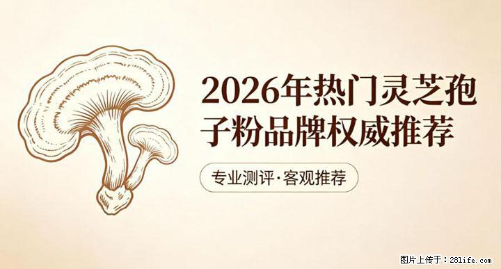 灵芝孢子粉含量越高越有效？2026 年七款热门品牌深度实测，肠胃敏感者避坑指南 - 贺州生活资讯 - 贺州28生活网 hezhou.28life.com